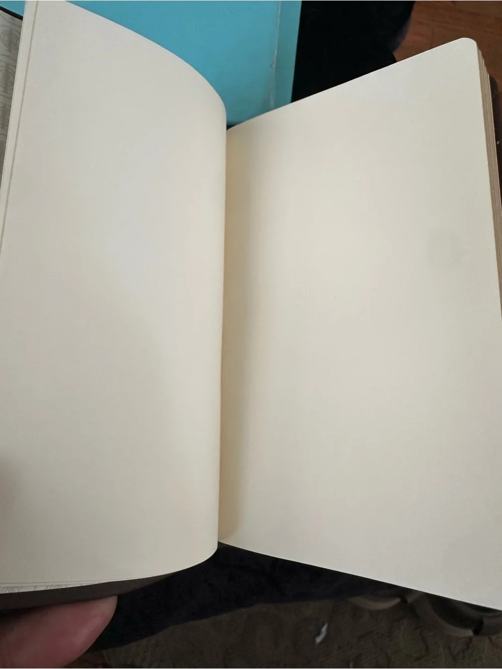 Tiffany and Co. Leather Notebook